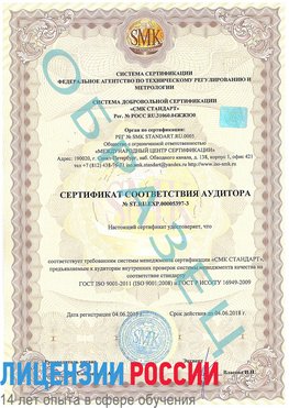Образец сертификата соответствия аудитора №ST.RU.EXP.00005397-3 Топки Сертификат ISO/TS 16949